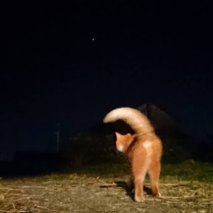 Dc3532f1 2d70 4a9f b704 eb473f8bd3fe 1602586139334