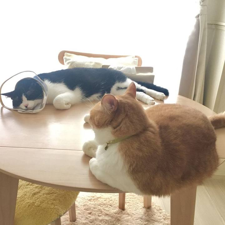 Dc3537a3 f0ae 46cc b3e2 41044408b6d5 1594022250457