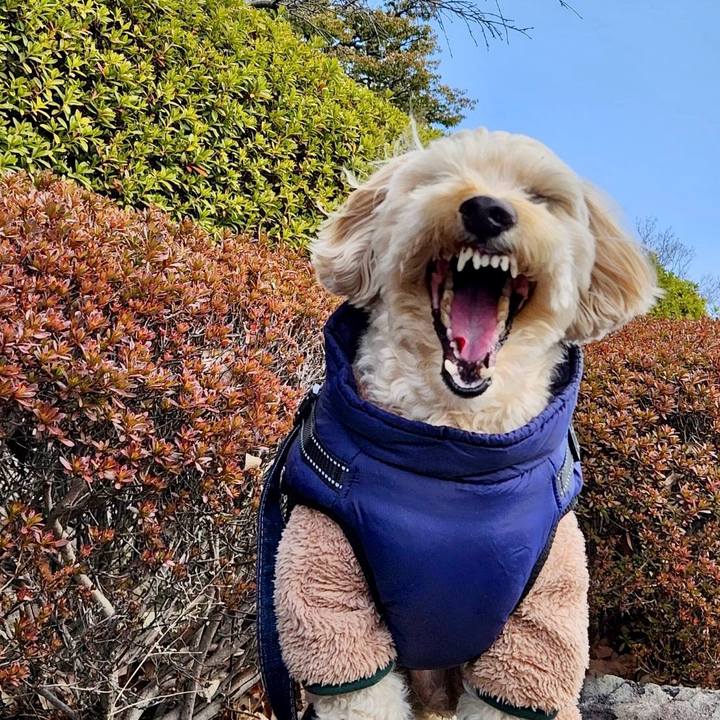 Dc353c05 cad6 4761 86b2 564ab17659e6 1769401963395