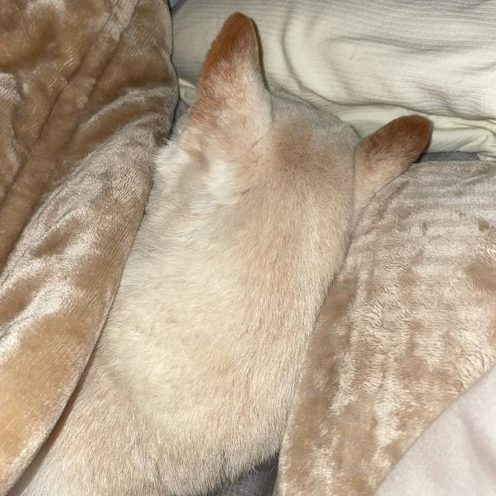 Dc35b344 3950 4334 9698 b3642c7923b5 1641327894758