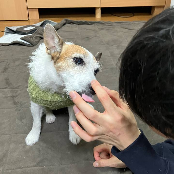 Dc360b94 8208 4a56 96a0 01b3544b8a38 1672875372671