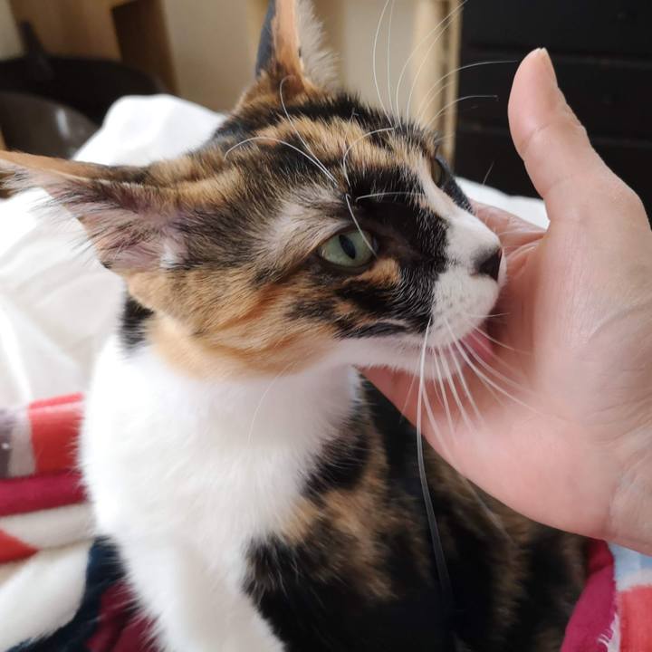 Dc362851 465a 479a 8663 a757fafd6889 1608386349742