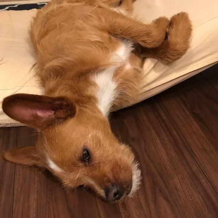 Dc36425c f281 4b60 9def 426e7e06e1e1 1558875744125