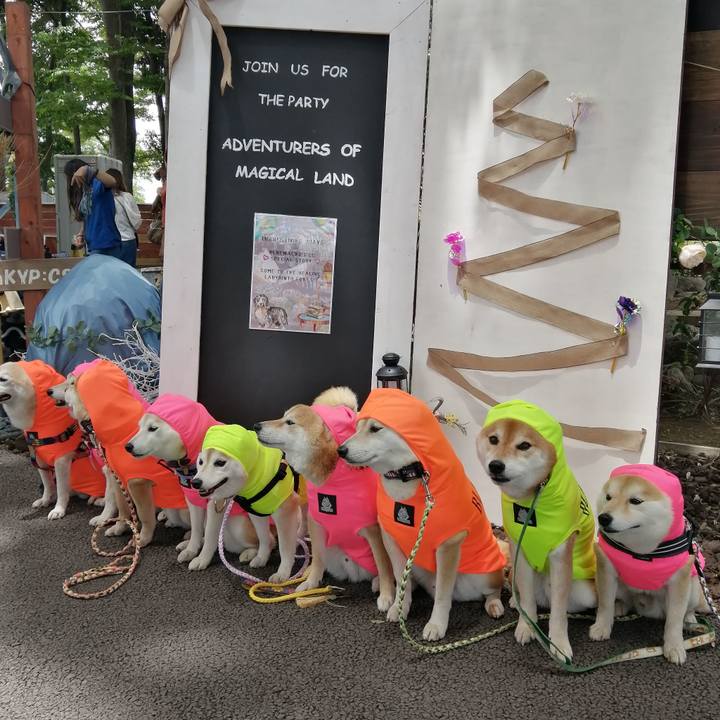 Dc3672f9 2f12 4d61 8b40 7fe6507e6024 1685415755277