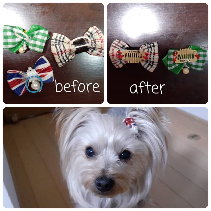 Dc36adf1 9ccd 4345 8ded 5f445456d3b1 1583308196623