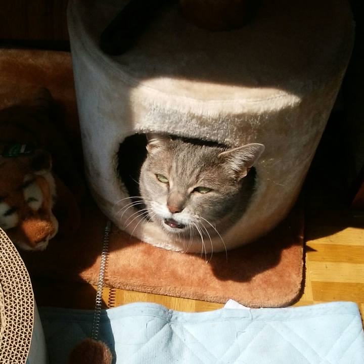 Dc36b649 fab2 4706 8dec aea515c93841 1588122679950