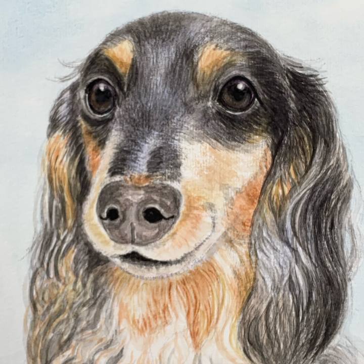 Dc36fcc1 3616 4a85 803e 190860302146 1686373258497