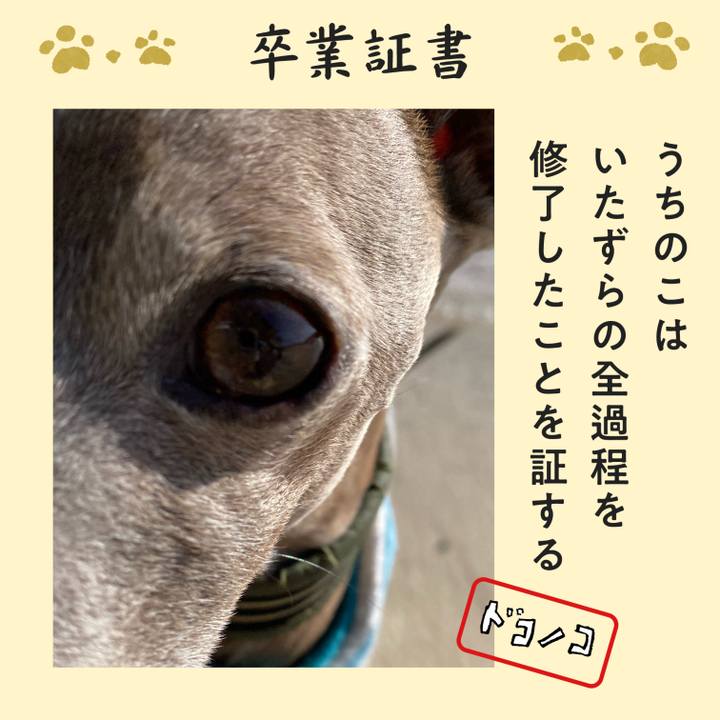 Dc3706f5 ed62 4802 87e8 8ccffc8c5321 1771820956241