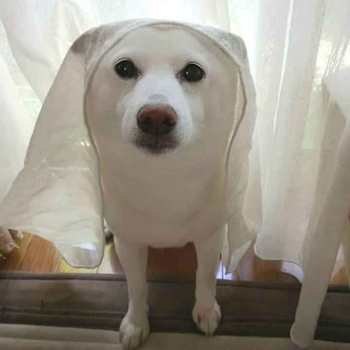 Dc373336 5f75 4000 9375 4f8e7cee3aaf 1591749558436