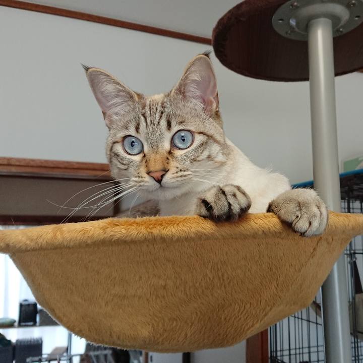 Dc377458 e535 49ac 95e9 c776daa62592 1518921280465