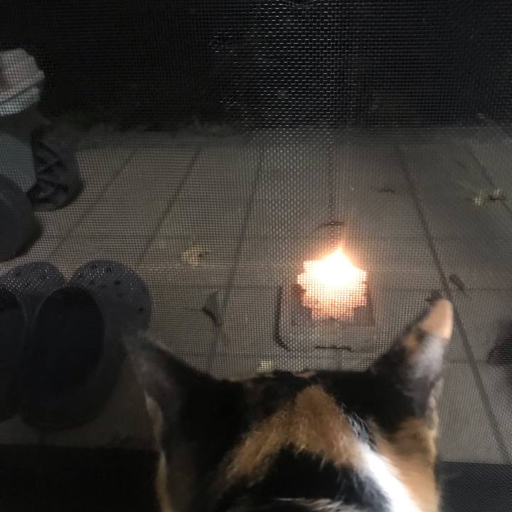 Dc377811 f767 4ba7 8b81 1e7248da3f49 1620571177882