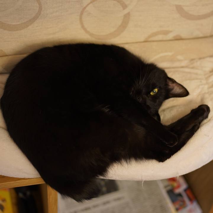 Dc377b5f b9ad 4ee5 8191 4c727b357ee5 1551624065871