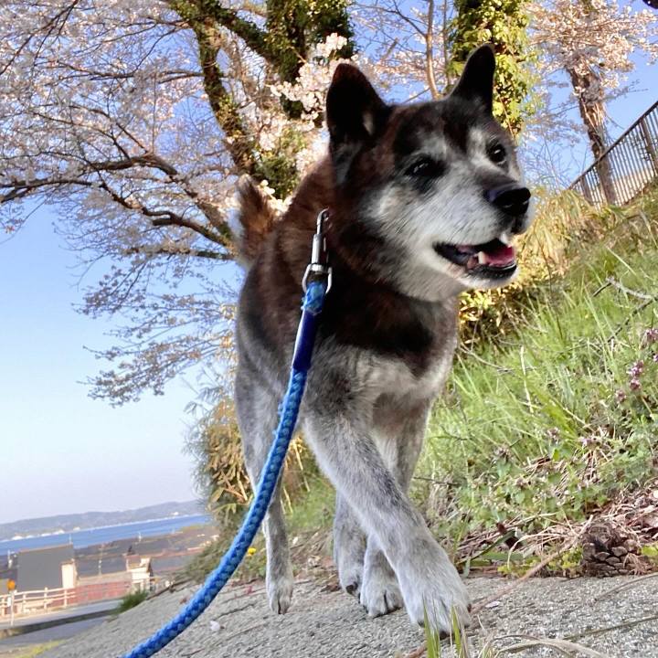 Dc378a9e 5357 45bc 9f96 578077cd7926 1713165942782