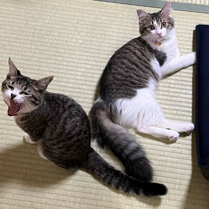 Dc378c3a 7324 45ef a262 c0cccc6a4758 1693522294647