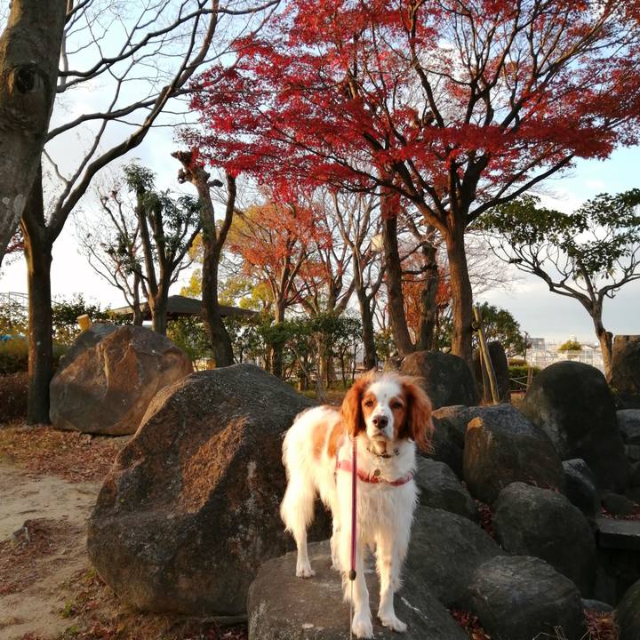 Dc37a5ba 101d 46e2 887d b31125a10675 1608542315367