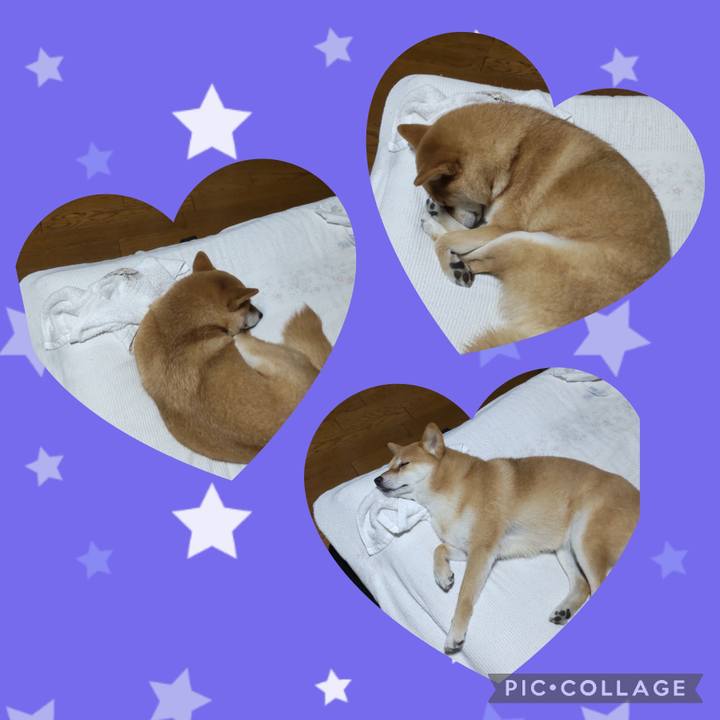 Dc37b885 e161 4bb7 83d3 9e3ff320b337 1718661909374