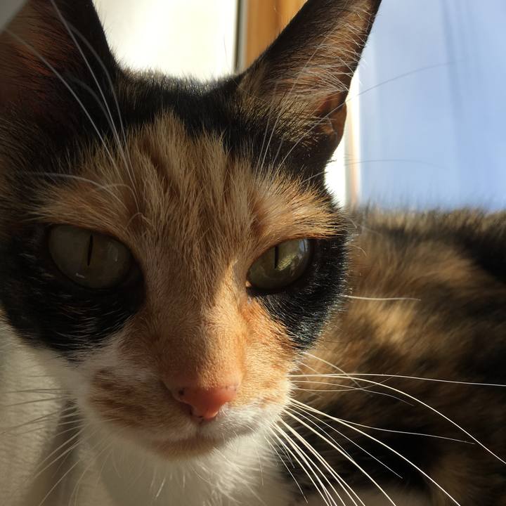 Dc37efb7 45d2 4293 b0da b8672dce55ac 1519704357251