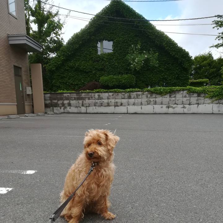 Dc382ed4 61fc 464c aafa 3daa31a0d48c 1528533772477