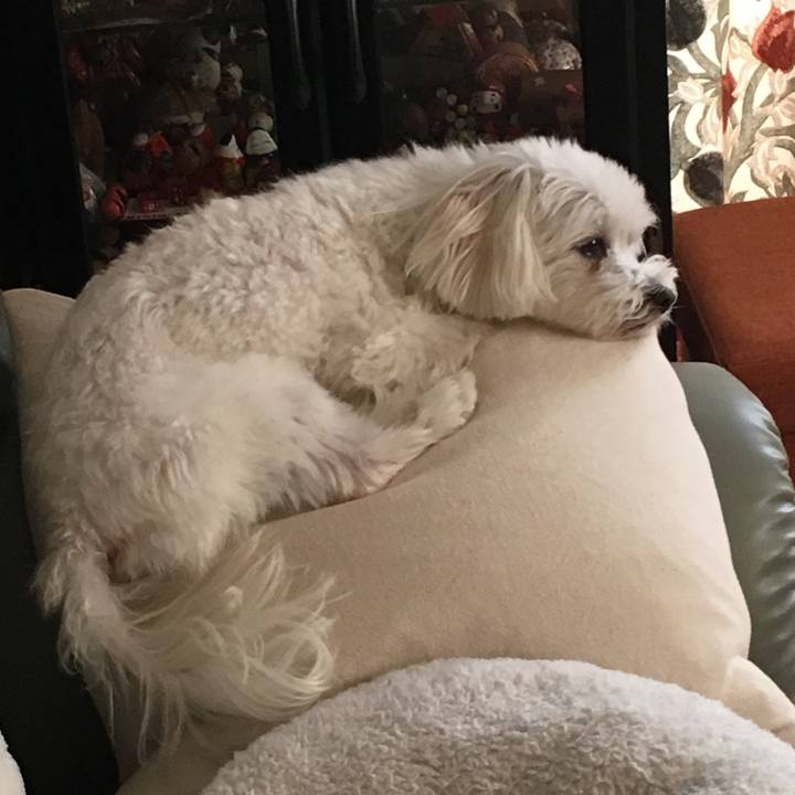 Dc384191 b866 4517 ae61 7b2abc2df49b 1535178289284