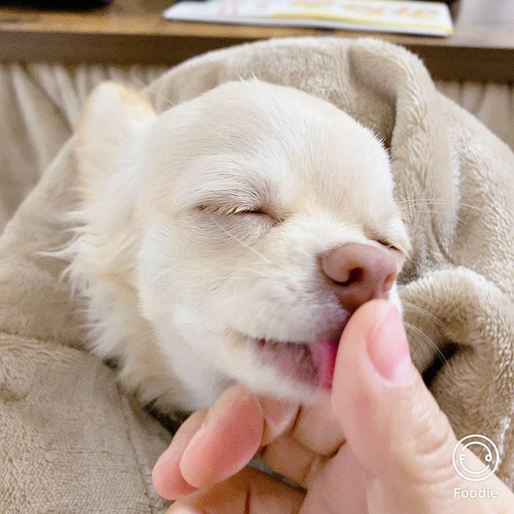 Dc3848fd 6d98 4a7a 9cdb 7291162bc198 1606859447210