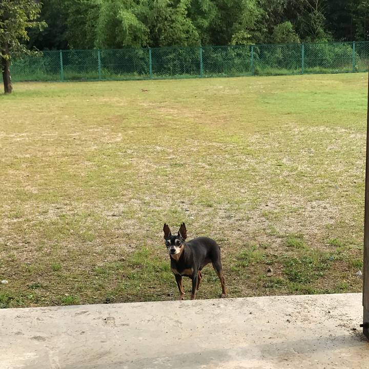 Dc385de0 f003 4200 9e9a 287c107a9fc0 1566004499109