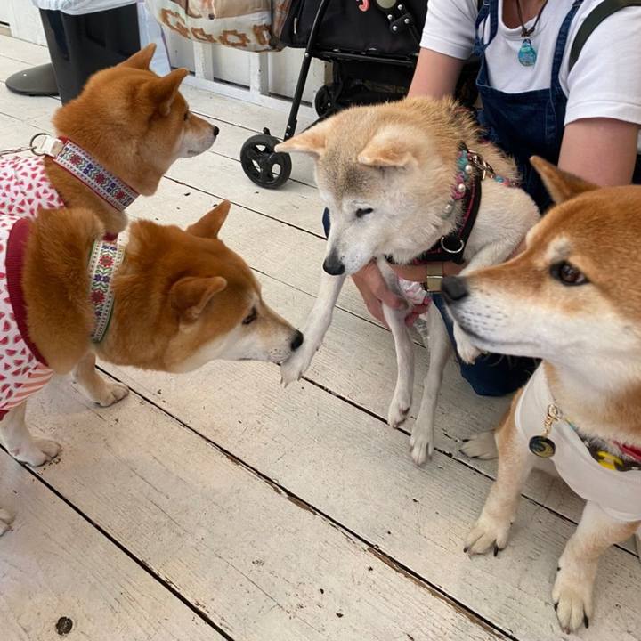 Dc38a78f dbd5 4458 898c 7f5a4d117489 1653309848631