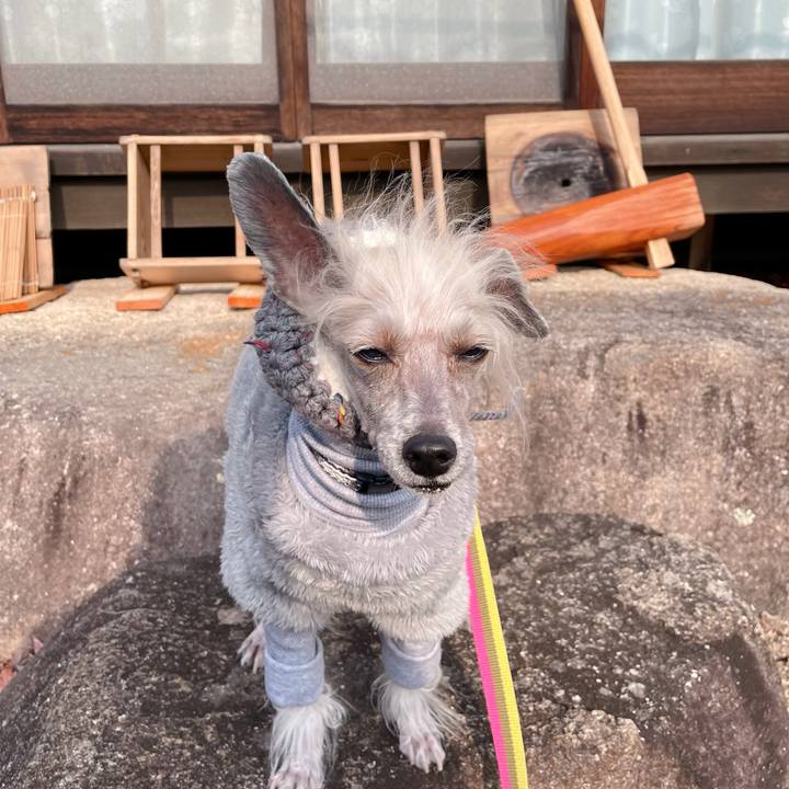 Dc38aa3e 33b5 4c45 a619 89b4d7c886c4 1767082131879