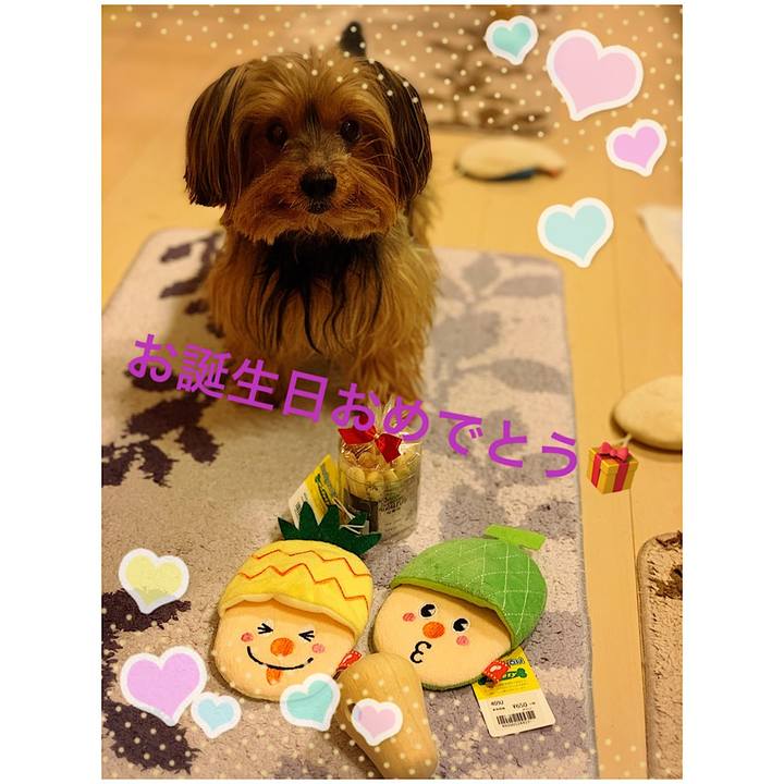 Dc38cbc9 df43 4431 9532 209d70fe4985 1570695059872