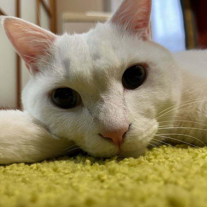 Dc38dbed 8ab5 4ef9 bfe9 d321f6990035 1765710004879