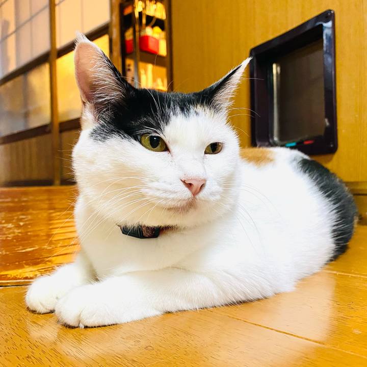 Dc38f093 11fc 4750 a3ad aaa78c84188c 1694125658353