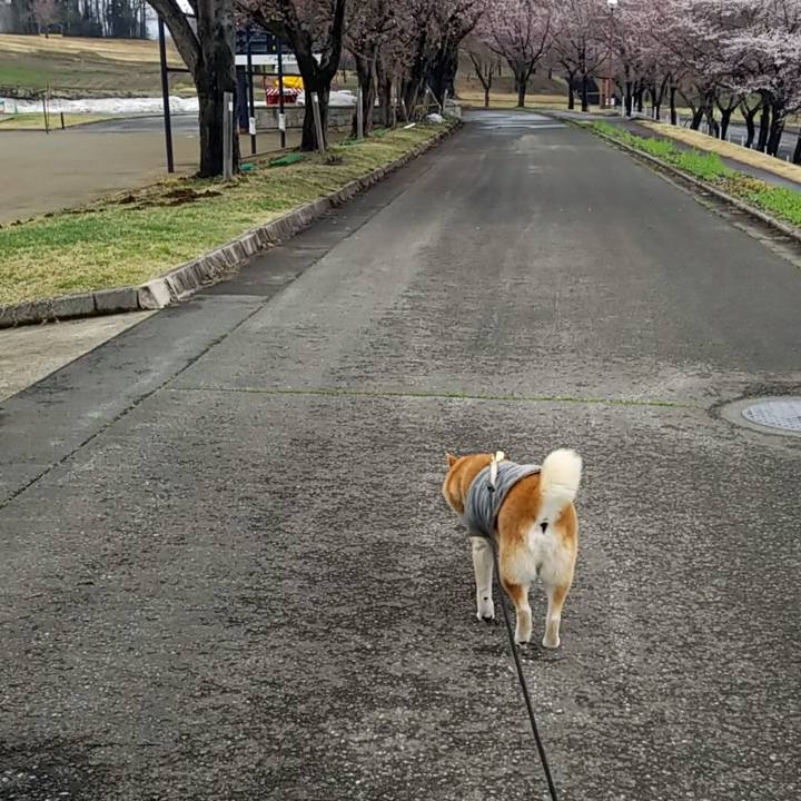 Dc391cc1 dc4e 4664 879c e6694cf875f7 1649993027068