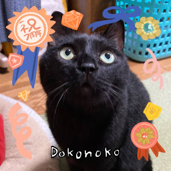 Dc391f6f 056e 4327 9455 15c824fb6c08 1686007573649