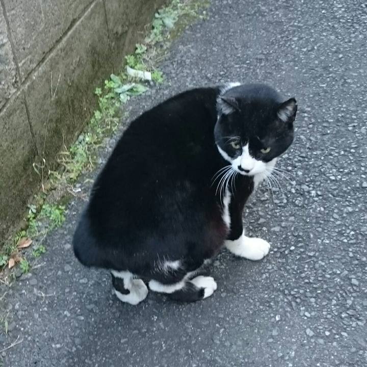 Dc393bb6 4072 4b4a 8bce 7157b865d69a 1513209322953