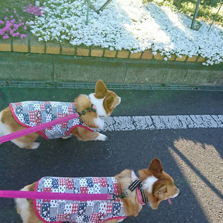 Dc393bb8 c618 414f 8300 ef61316d6504 1555405709646