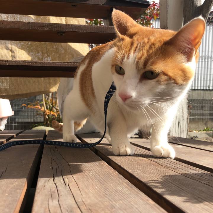 Dc3944d9 2175 43d7 9461 4f3b8dcd7e8d 1550735927174