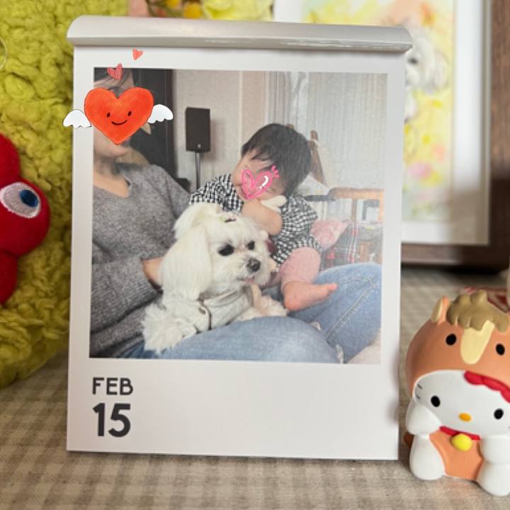 Dc39c422 0ab5 4caf a507 40a92877f813 1771133562958