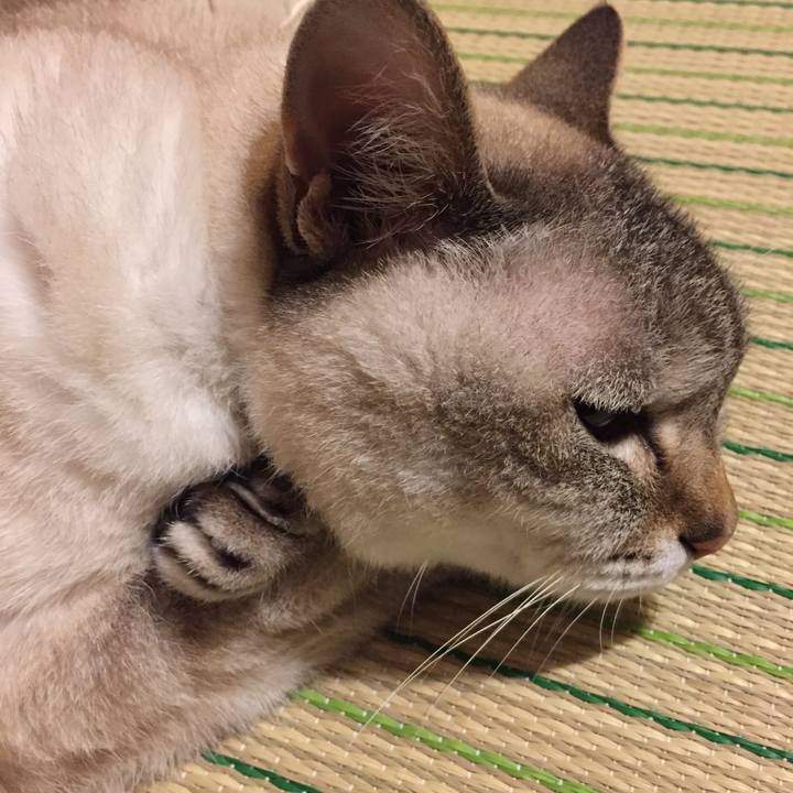 Dc39e028 a9d8 4c3b b845 5aaab8170727 1530198833502