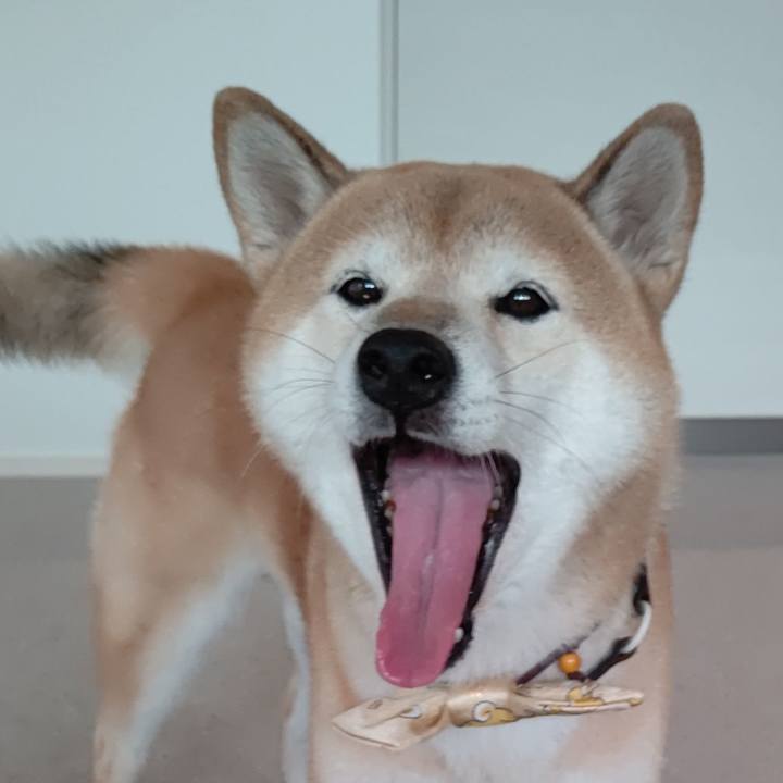 Dc39e1f1 7d08 4737 a8f4 bff758b764dd 1614522709204