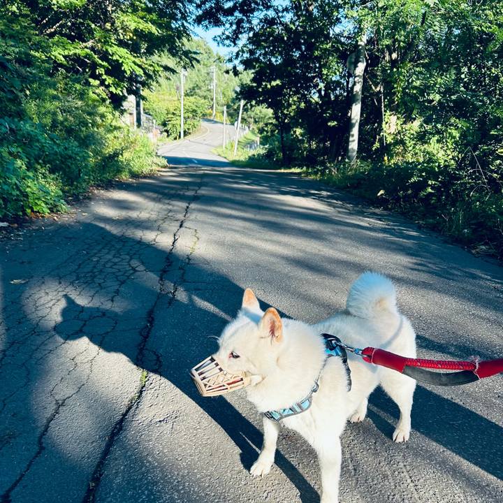 Dc3a0144 f12b 4a8e 9abc 1790e64fe8b7 1726531005087