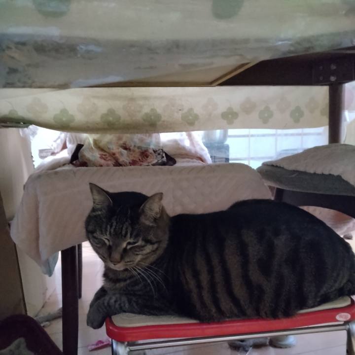 Dc3a1fd7 7e42 400f acbb f3e536b56691 1675035609163