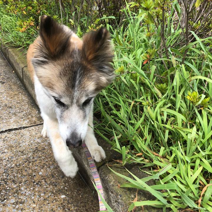 Dc3a38da 7672 44d2 8a9f 1130f9e0c77a 1535075769199