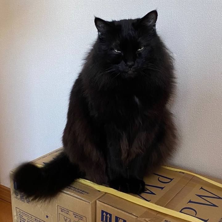 Dc3a394b c4ef 4013 8004 e0fb18cdf6e8 1580025281941