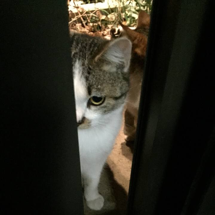 Dc3a51d3 938d 4481 9ec3 0d22f158b3b4 1516508400366