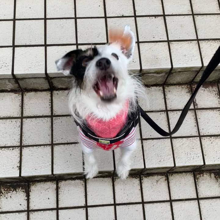 Dc3a62b3 f50d 4c45 a1c1 d801bf376c42 1702595528652