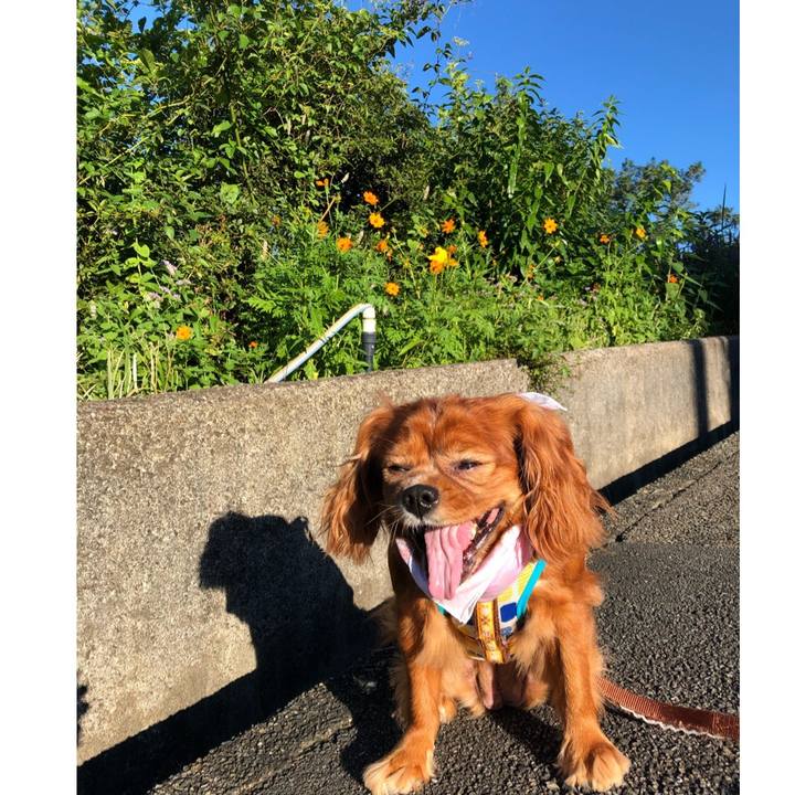 Dc3a772e 11e7 4ba7 8ca2 400a4a43aeed 1628381306784