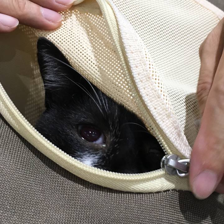 Dc3aad94 1b43 4977 a9d9 28251ac8d980 1507743033437