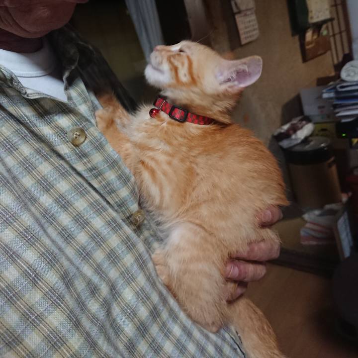 Dc3ab035 a772 44fd 8750 02c1d3598983 1630410815877