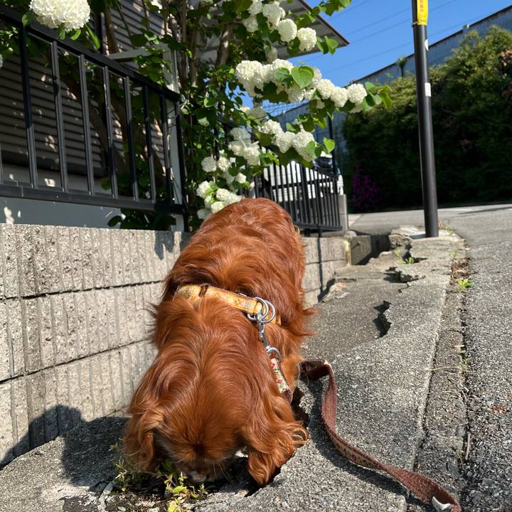 Dc3ab080 0c80 4a70 8614 522afeb677d3 1745624140492