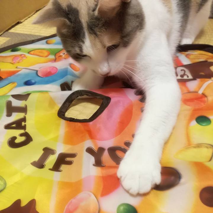 Dc3acc81 1e13 4f8d 9207 c472d9c0b48e 1530354075470