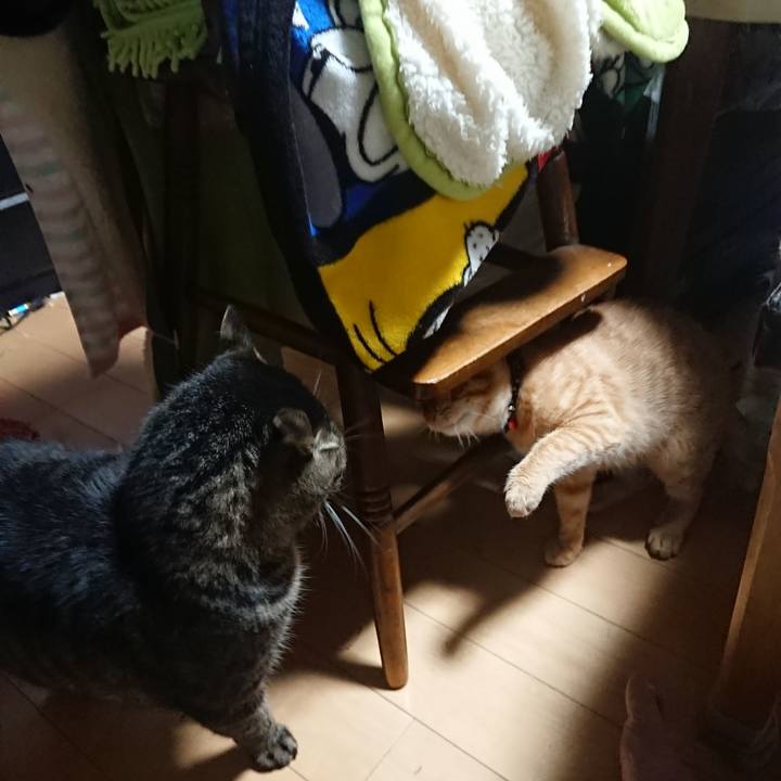 Dc3ad7f2 9613 4f66 bab0 c033ddc55cea 1635280465843